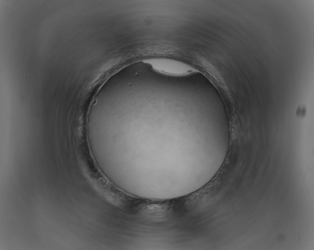 X0000088900163200707061502