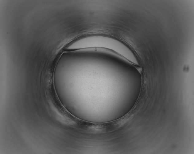 X0000088900164200707061502