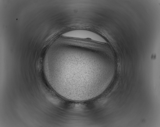 X0000088900165200707061502