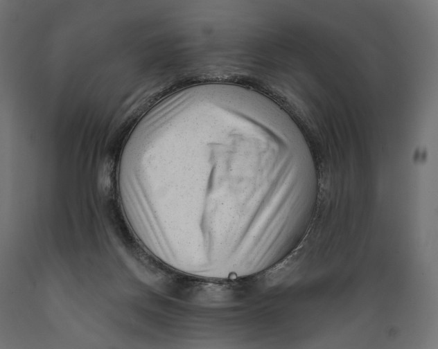 X0000088900166200707061502