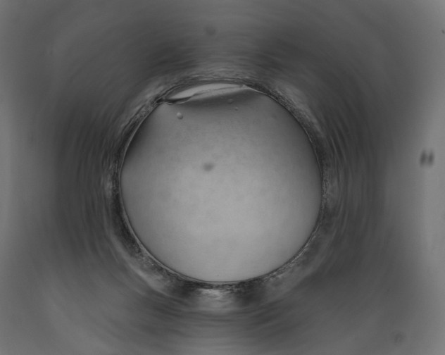 X0000088900167200707061502