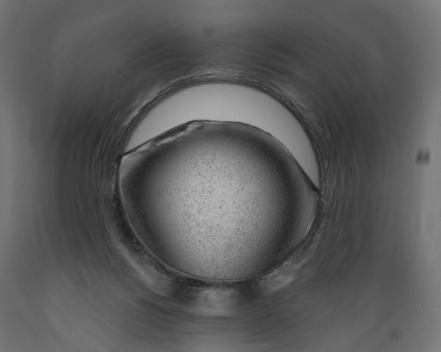 X0000088900168200707061502