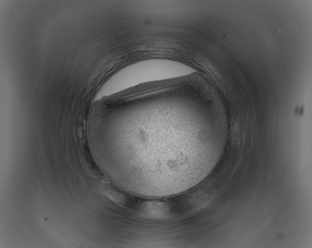 X0000088900169200707061502