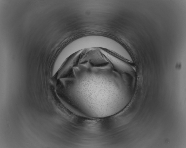 X0000088900170200707061502