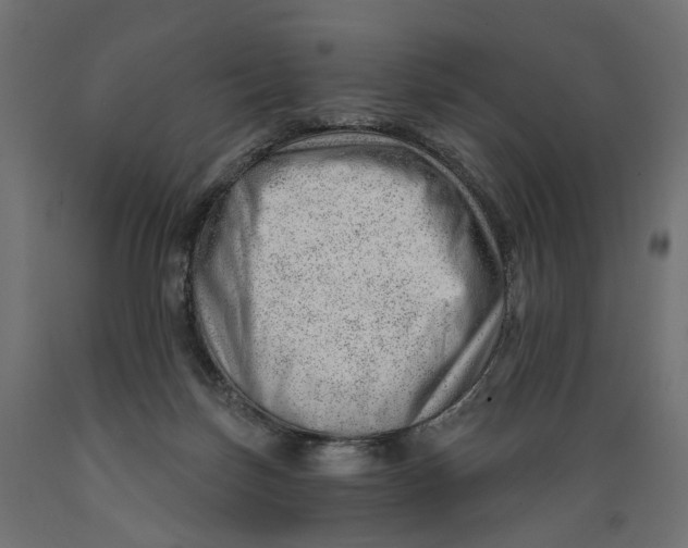 X0000088900171200707061502