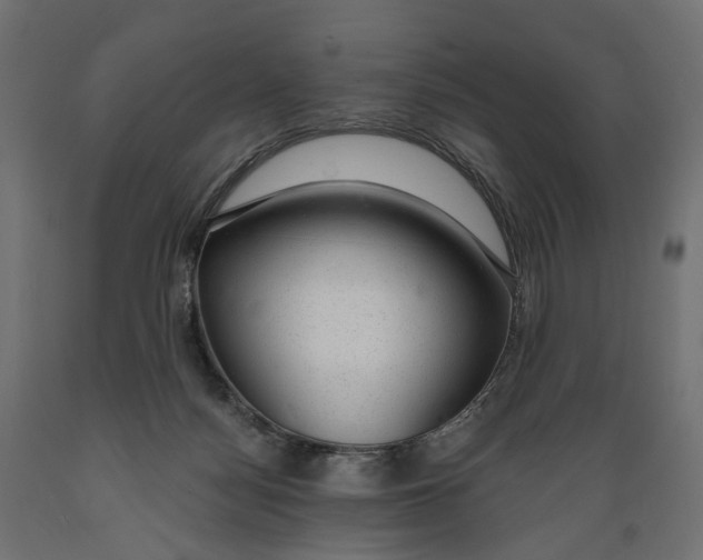 X0000088900172200707061502