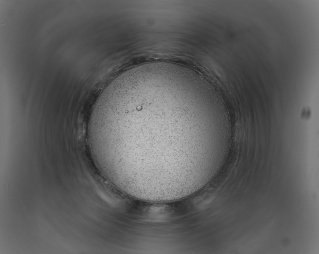 X0000088900173200707061503