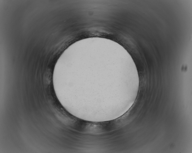 X0000088900174200707061503