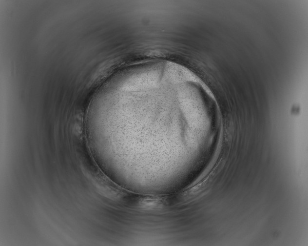 X0000088900175200707061503