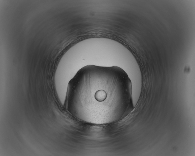 X0000088900176200707061503