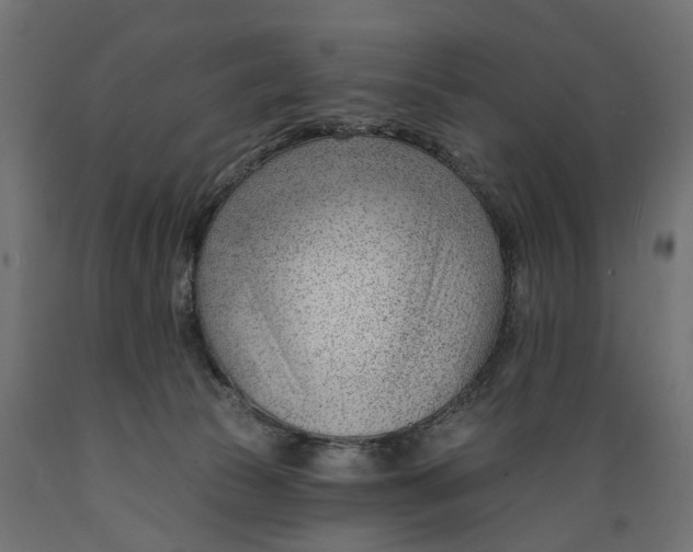 X0000088900177200707061503