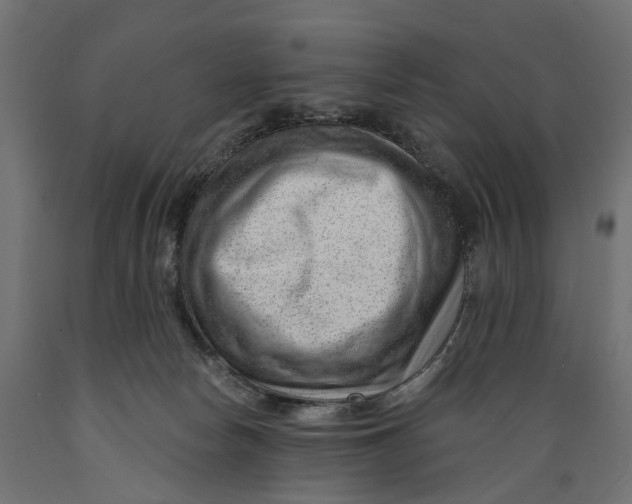 X0000088900178200707061503