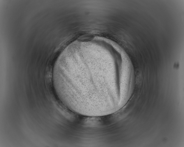 X0000088900179200707061503