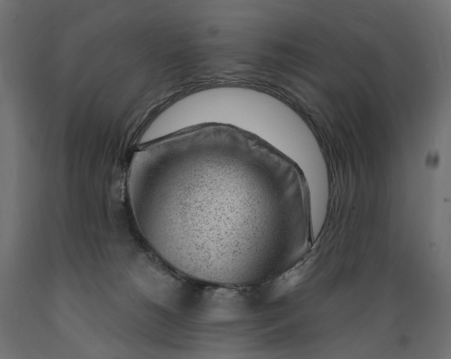 X0000088900180200707061503