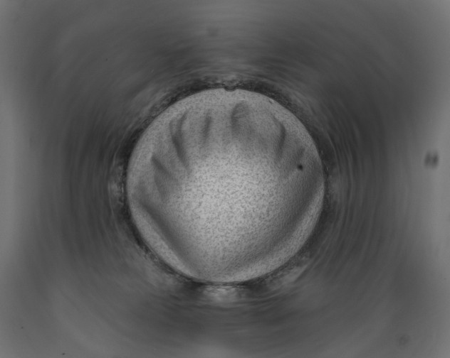 X0000088900181200707061503