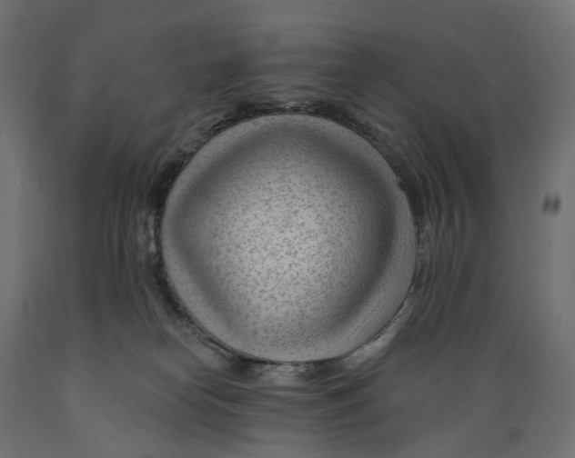 X0000088900182200707061503