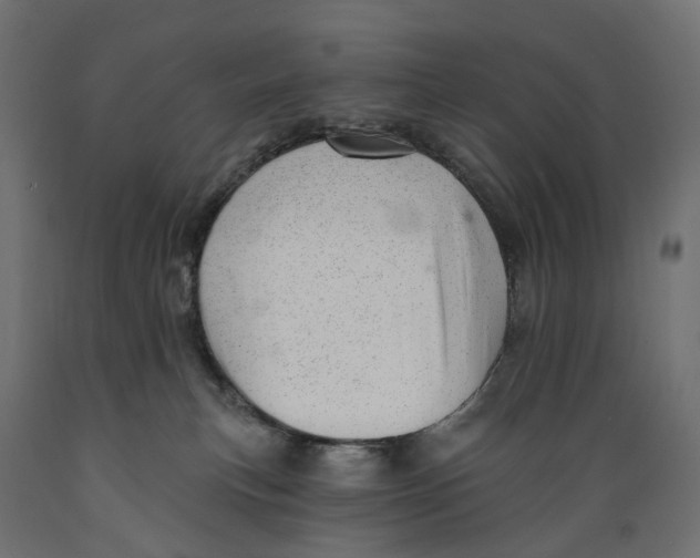 X0000088900183200707061503