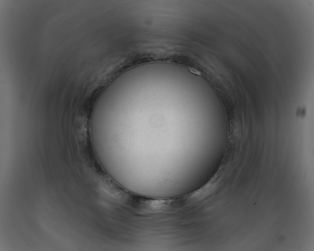 X0000088900184200707061503