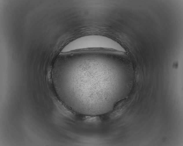 X0000088900185200707061503