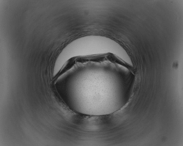 X0000088900186200707061503