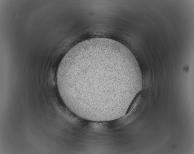 X0000088900187200707061503