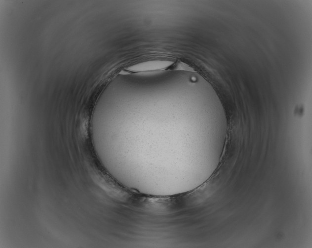 X0000088900188200707061503