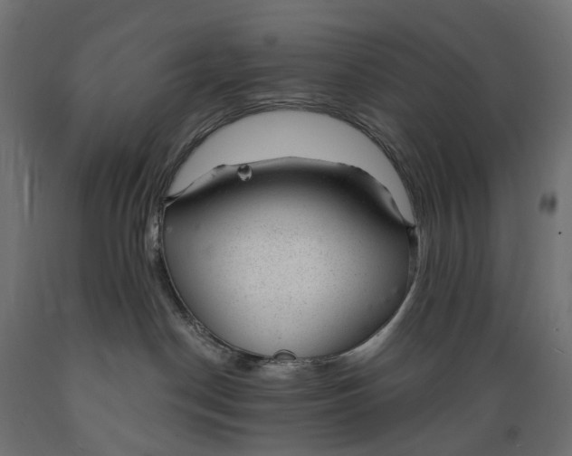 X0000088900190200707061503