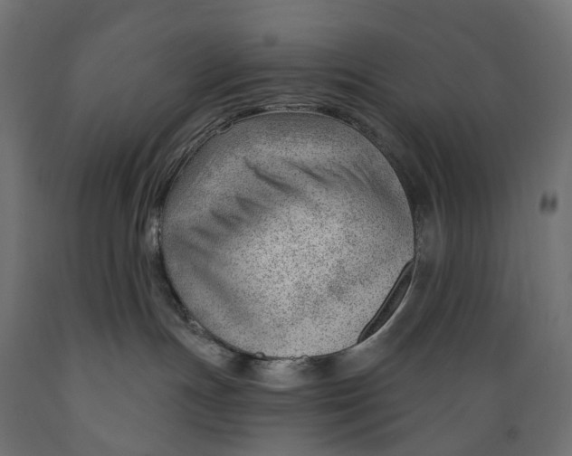 X0000088900191200707061503