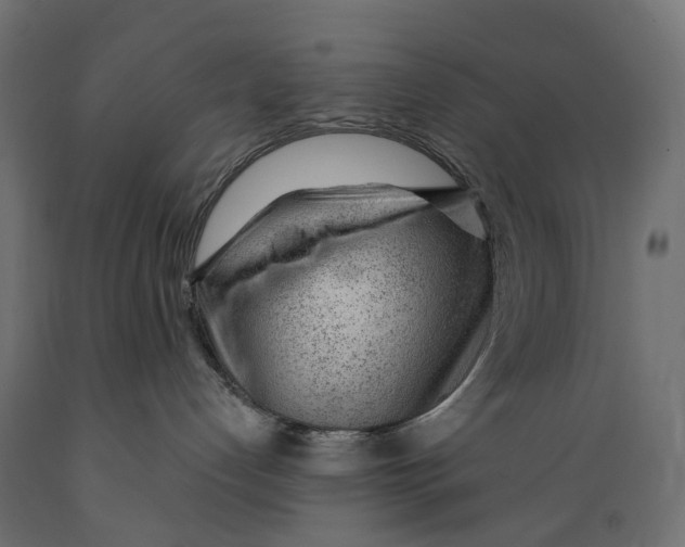 X0000088900192200707061503