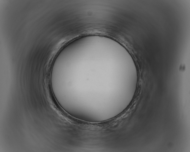 X0000088900193200707061502