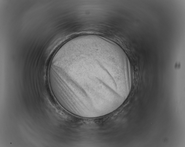 X0000088900194200707061502