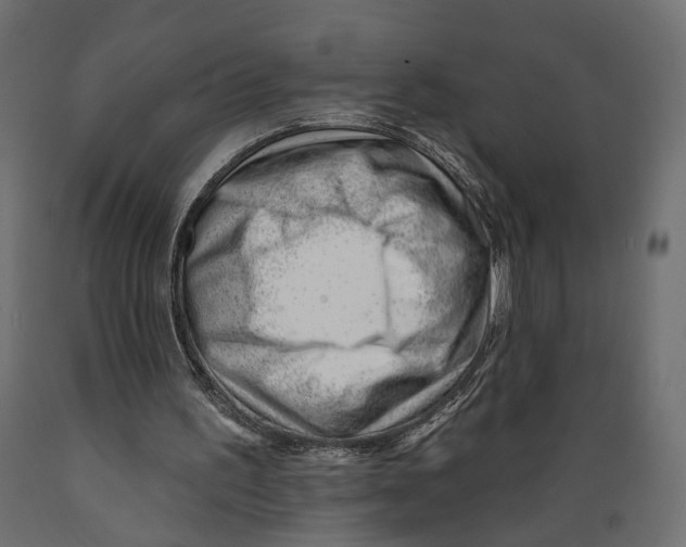 X0000088900195200707061502