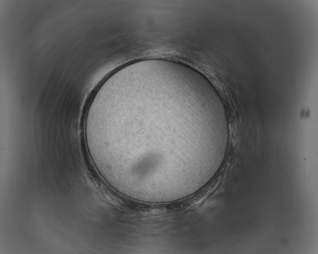 X0000088900196200707061502