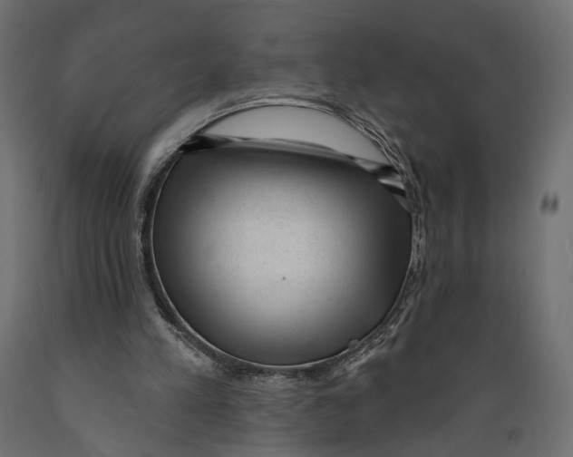 X0000088900197200707061502