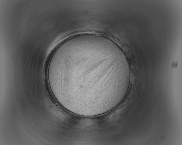 X0000088900198200707061502