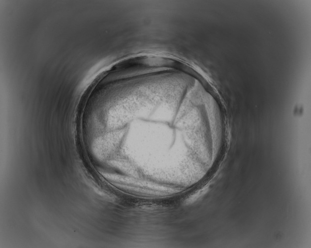 X0000088900199200707061502