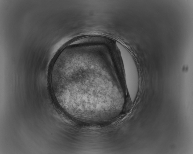 X0000088900200200707061502