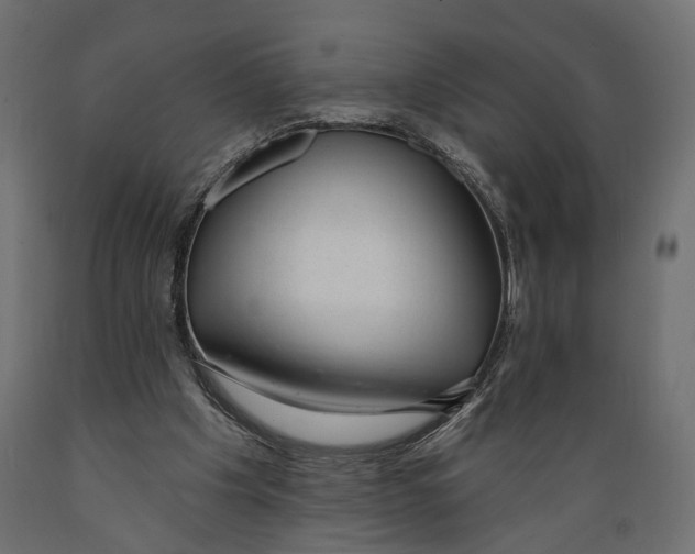 X0000088900201200707061502