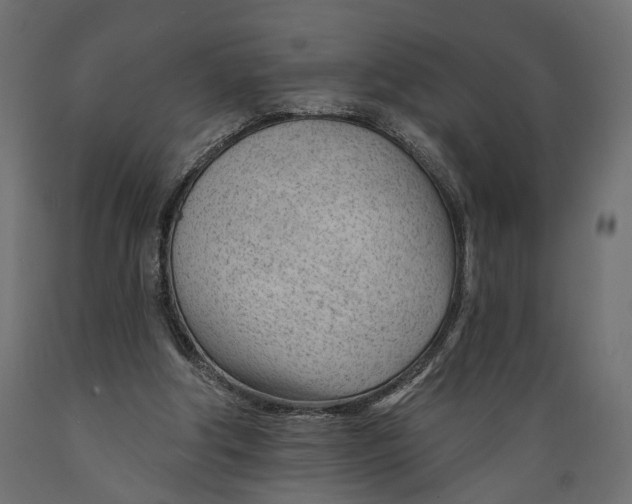 X0000088900202200707061502