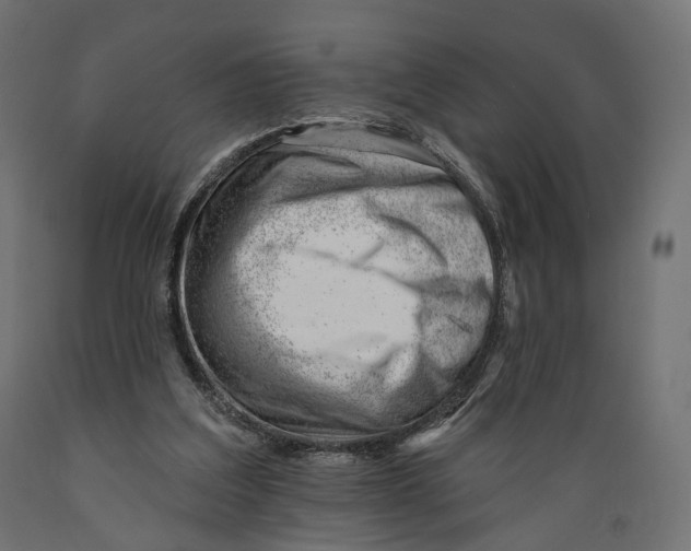 X0000088900203200707061502