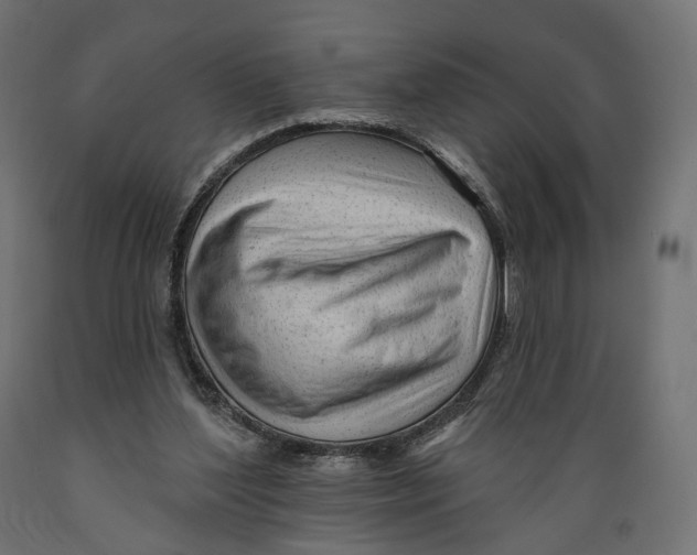 X0000088900204200707061502