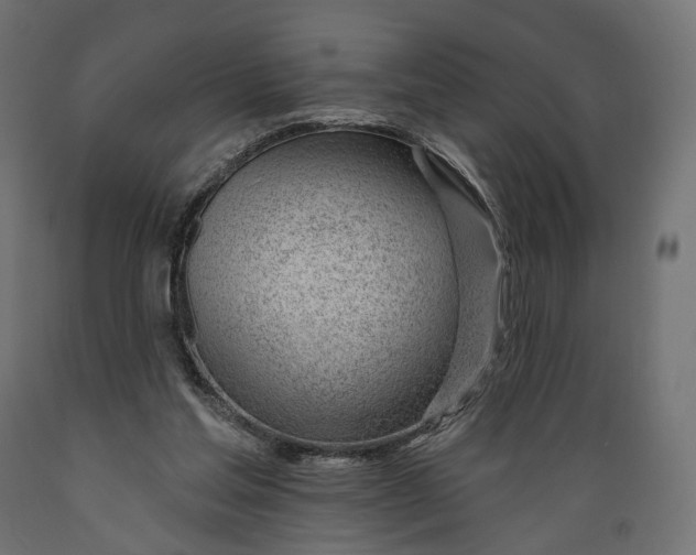 X0000088900205200707061502