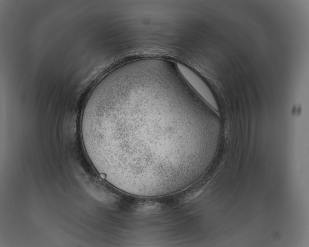 X0000088900206200707061502