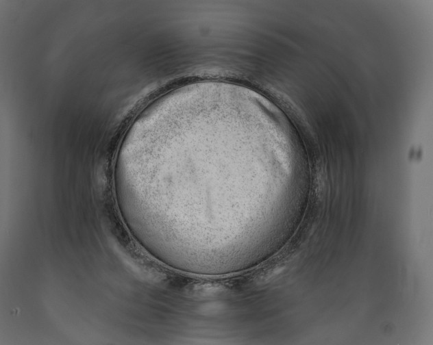 X0000088900208200707061502