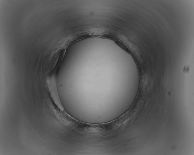 X0000088900209200707061502