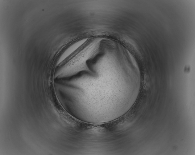 X0000088900210200707061502