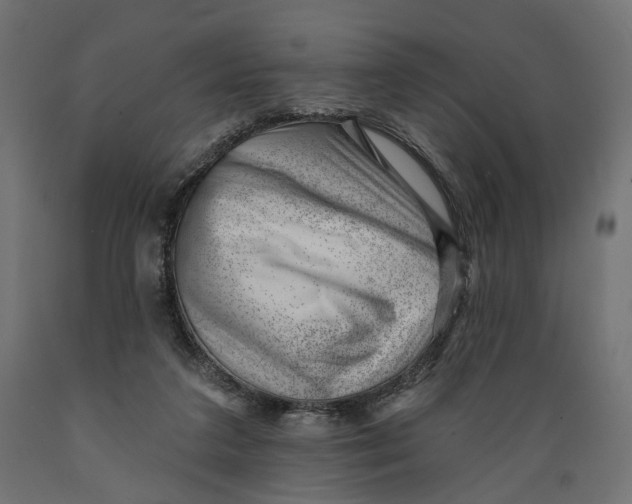 X0000088900211200707061502