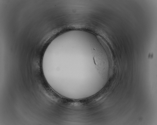 X0000088900212200707061502