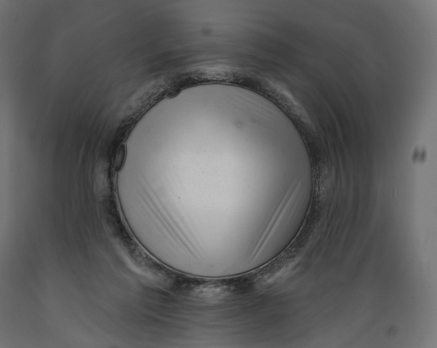 X0000088900213200707061502