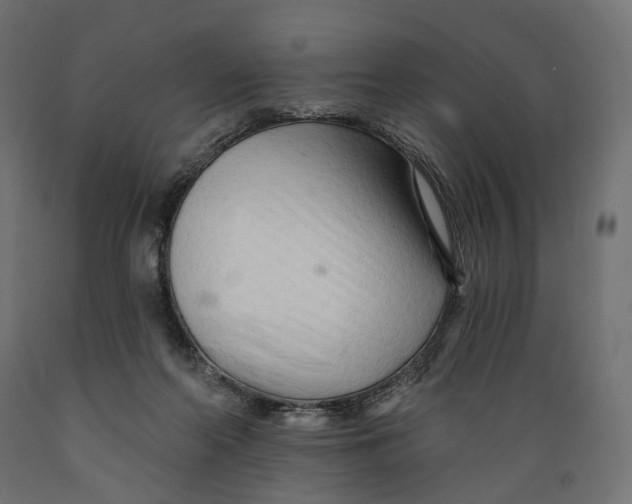 X0000088900214200707061502